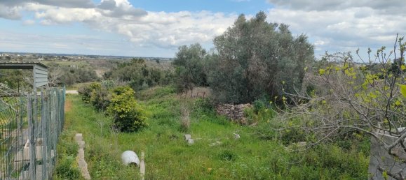 5 rooms Apartment in Neviano, Italy No. 167409 29