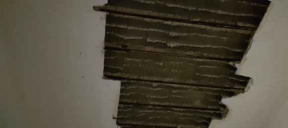 5 rooms Apartment in Neviano, Italy No. 167409 19