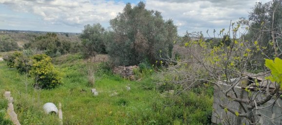 5 rooms Apartment in Neviano, Italy No. 167409 31