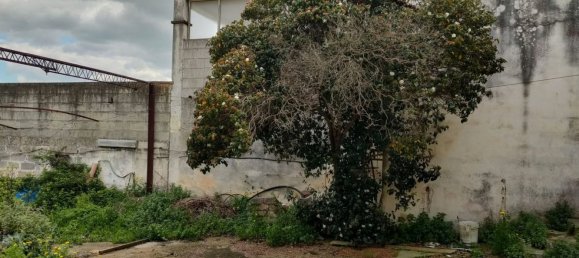 5 rooms Apartment in Neviano, Italy No. 167409 22