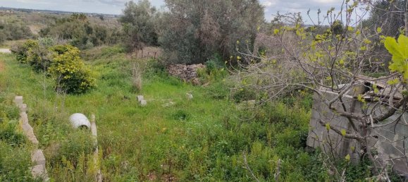 5 rooms Apartment in Neviano, Italy No. 167409 28