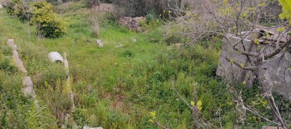 5 rooms Apartment in Neviano, Italy No. 167409 30