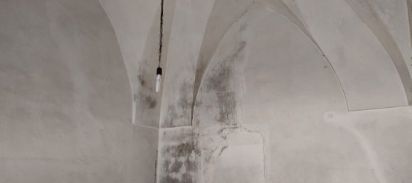 5 rooms Apartment in Neviano, Italy No. 167409 10