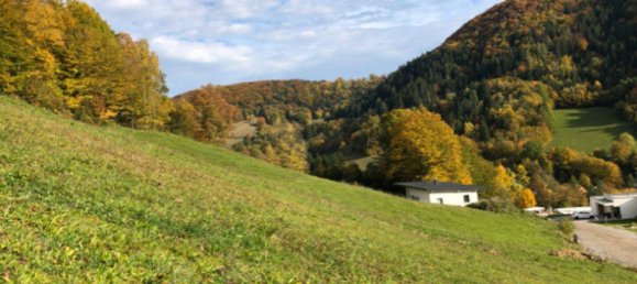 701m² Land in Loich, Austria No. 191182 3