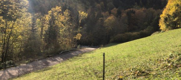 701m² Land in Loich, Austria No. 191182 4