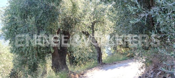 Terreno em Dolcedo, Italy N.º 127313 4