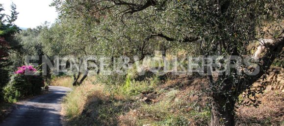 Terreno em Dolcedo, Italy N.º 127313 2