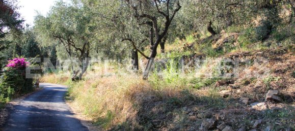 Terreno em Dolcedo, Italy N.º 127313 6