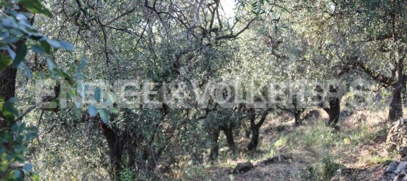 Terreno em Dolcedo, Italy N.º 127313 3