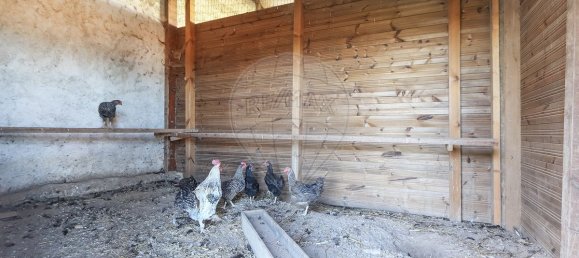 7 غرف نوم منزل في Torres Vedras, Portugal رقم 184955 28