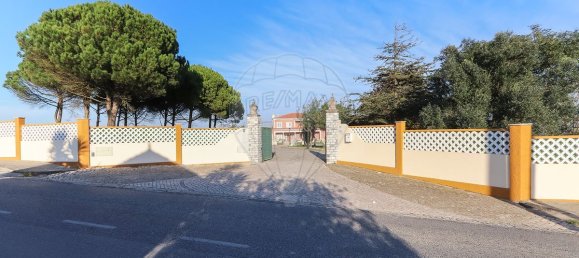 7 غرف نوم منزل في Torres Vedras, Portugal رقم 184955 49