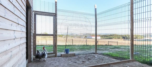 7 غرف نوم منزل في Torres Vedras, Portugal رقم 184955 27