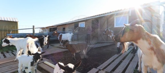 7 غرف نوم منزل في Torres Vedras, Portugal رقم 184955 24