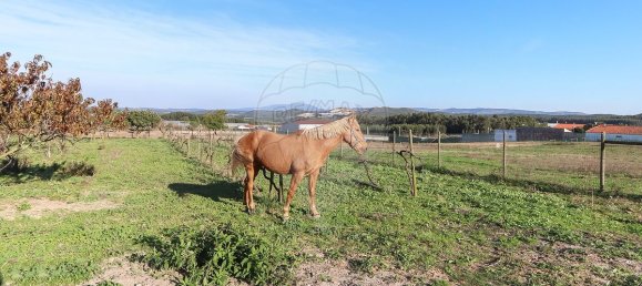 7 غرف نوم منزل في Torres Vedras, Portugal رقم 184955 22
