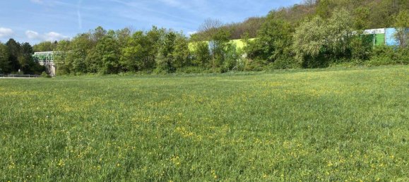 قطعة أرض في Hinterbruhl, Austria 4267متر مربع رقم 163915 2