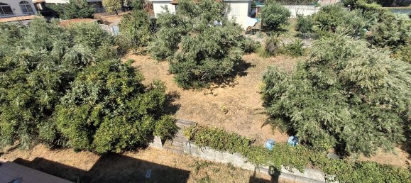 15 rooms House in Praia a Mare, Italy No. 286715 6