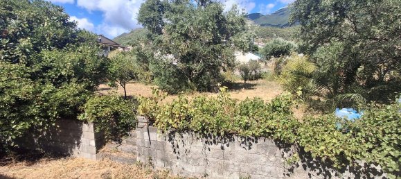 15 rooms House in Praia a Mare, Italy No. 286715 15