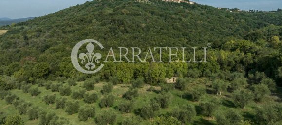 8 rooms House in Campagnatico, Italy No. 148913 7
