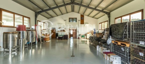 8 rooms House in Campagnatico, Italy No. 148913 14