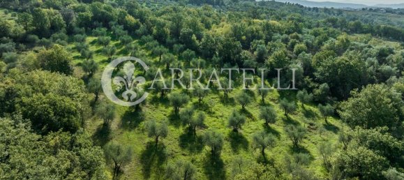 8 rooms House in Campagnatico, Italy No. 148913 12