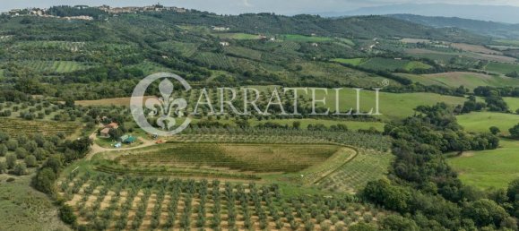 8 rooms House in Campagnatico, Italy No. 148913 9