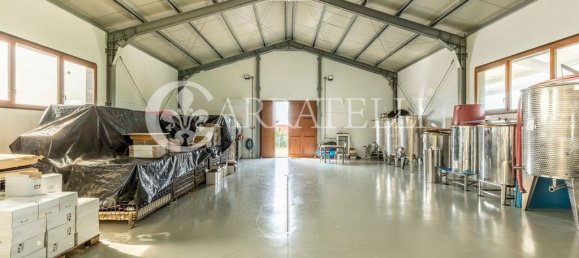 8 rooms House in Campagnatico, Italy No. 148913 13