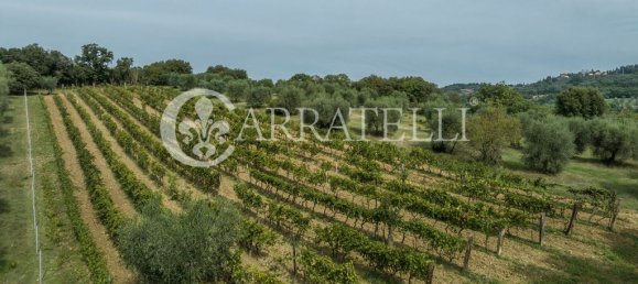 8 rooms House in Campagnatico, Italy No. 148913 10