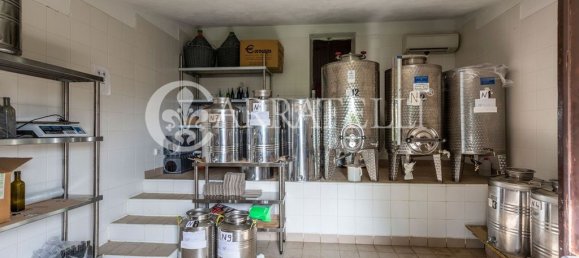 8 rooms House in Campagnatico, Italy No. 148913 5