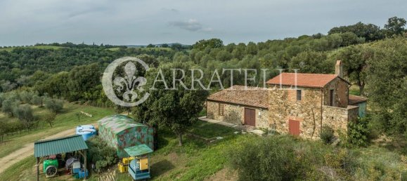 8 rooms House in Campagnatico, Italy No. 148913 3