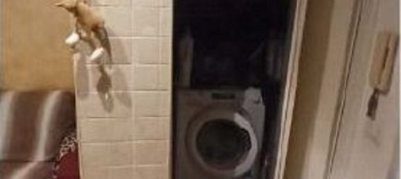 2-salle Appartement à Rocca di Papa, Italy No. 191187 22