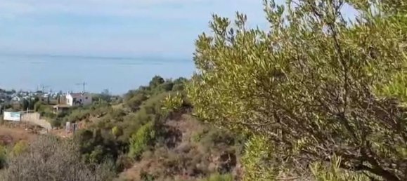 Imóvel comercial em Marbella, Spain 1509 m² N.º 128601 2