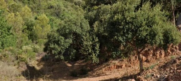 Imóvel comercial em Marbella, Spain 1509 m² N.º 128601 5