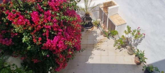 3 Schlafzimmer Haus in Colares, Portugal, Nr. 226360 11