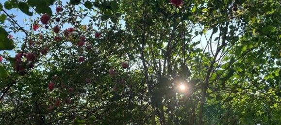 Grundstück in Bremen, Germany, Nr. 261647 8