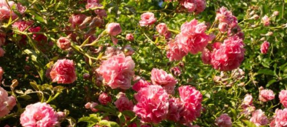 Grundstück in Bremen, Germany, Nr. 261647 9