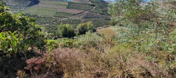3 Schlafzimmer Haus in Iznate, Spain, Nr. 144831 31