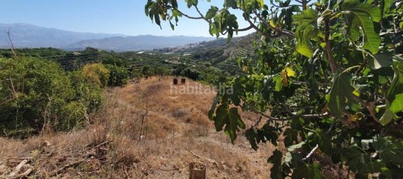 3 Schlafzimmer Haus in Iznate, Spain, Nr. 144831 34