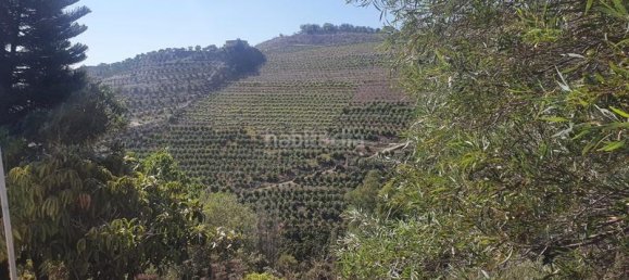 3 Schlafzimmer Haus in Iznate, Spain, Nr. 144831 18