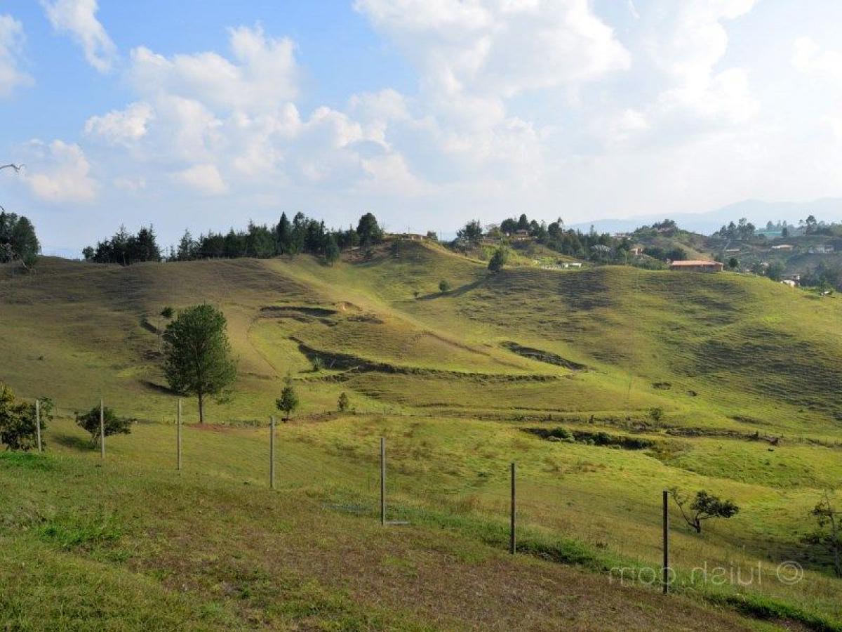 Земельный участок в Антьокия, Колумбия № 618