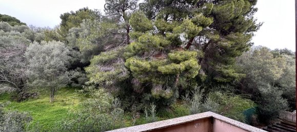 4غرفة شقة في Olbia, Italy رقم 237392 18