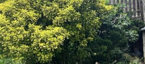 1 bedroom House in Occitanie, France No. 285444 16