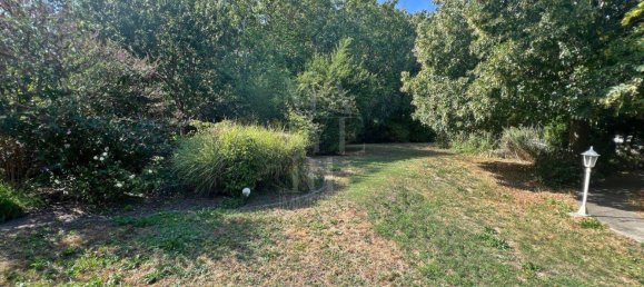 5 rooms House in Himberg, Austria No. 223310 7