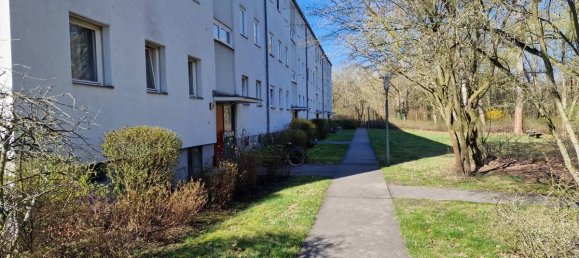 1 chambre Appartement à Zehlendorf, Germany No. 233927 16