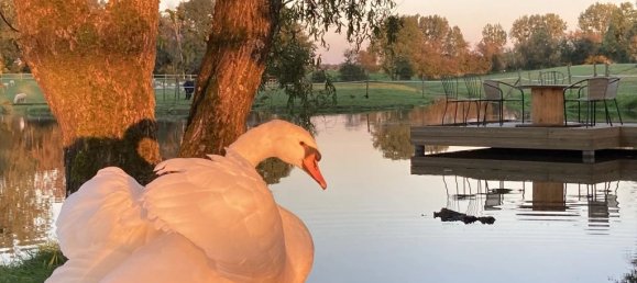 15 Schlafzimmer Haus in Vervins, France, Nr. 212888 47