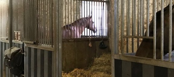15 Schlafzimmer Haus in Vervins, France, Nr. 212888 33