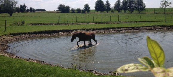 15 Schlafzimmer Haus in Vervins, France, Nr. 212888 31