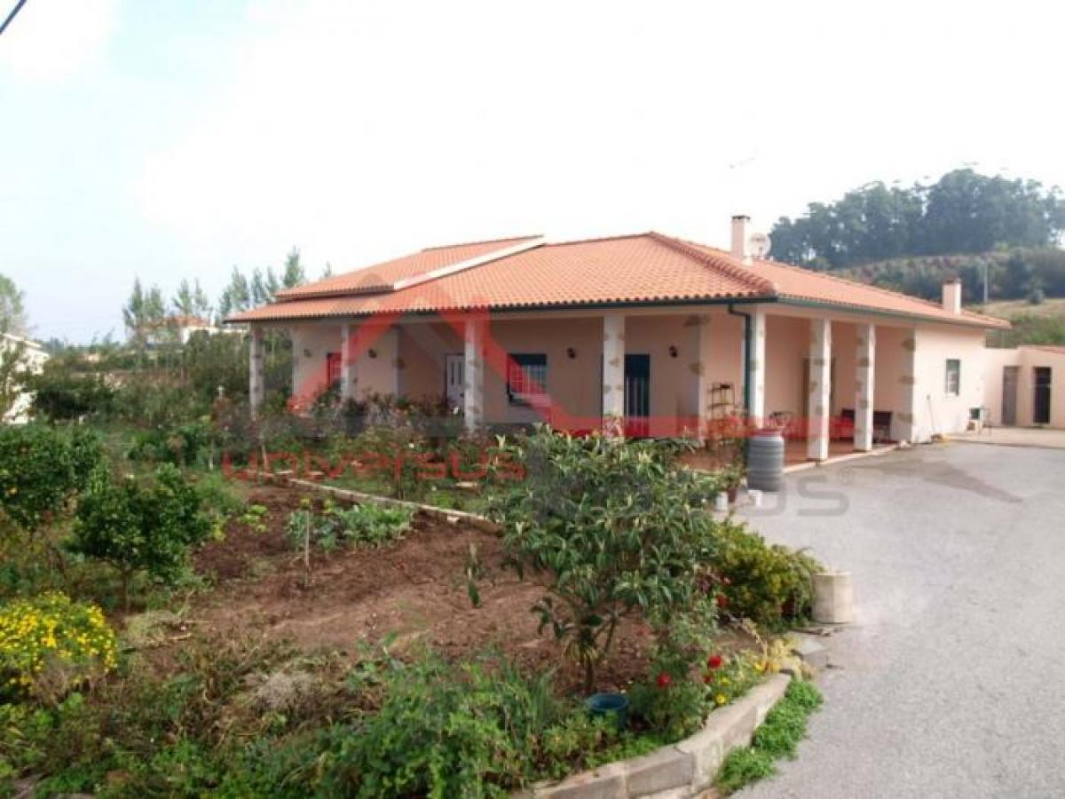 3 غرف نوم فيلا في Caldas da Rainha, Portugal رقم 2792