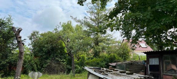 2 Schlafzimmer Grundstück in Teltow-Fläming, Germany, Nr. 116025 16