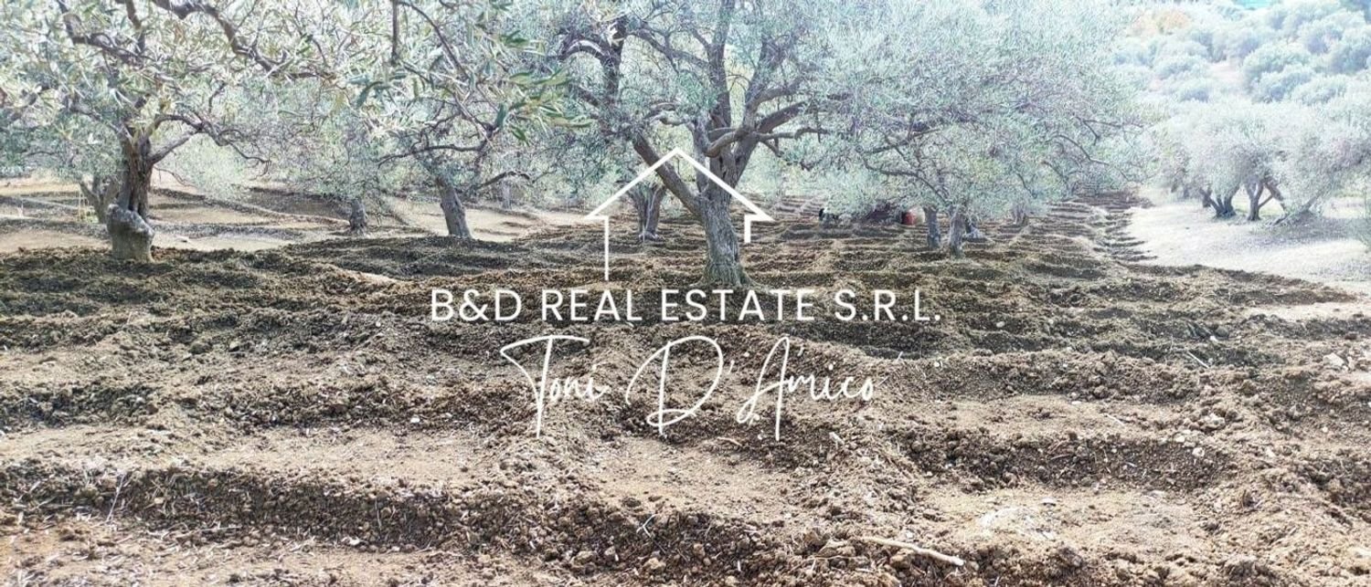  Land in Bagheria, Italy No. 325436