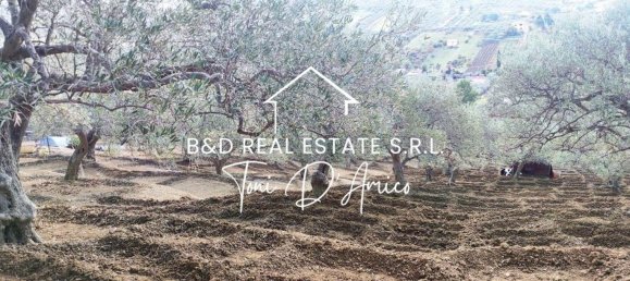  Land in Bagheria, Italy No. 325436 5